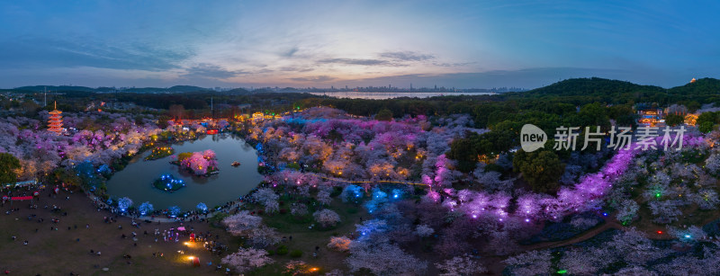 武汉东湖磨山樱花园夜景风光