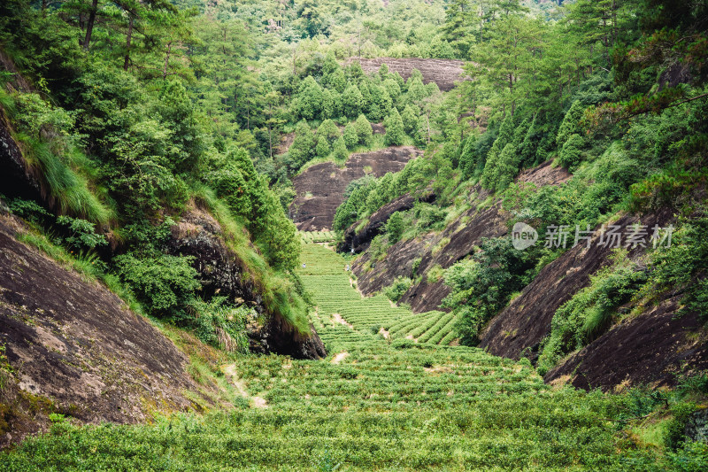 南平武夷山