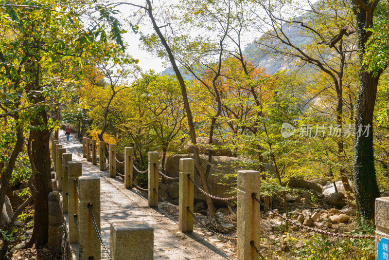 崂山太清崂山第一山石刻景观