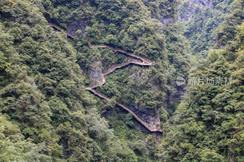 湖北宜昌三峡竹海风景区，自然风光，竹海