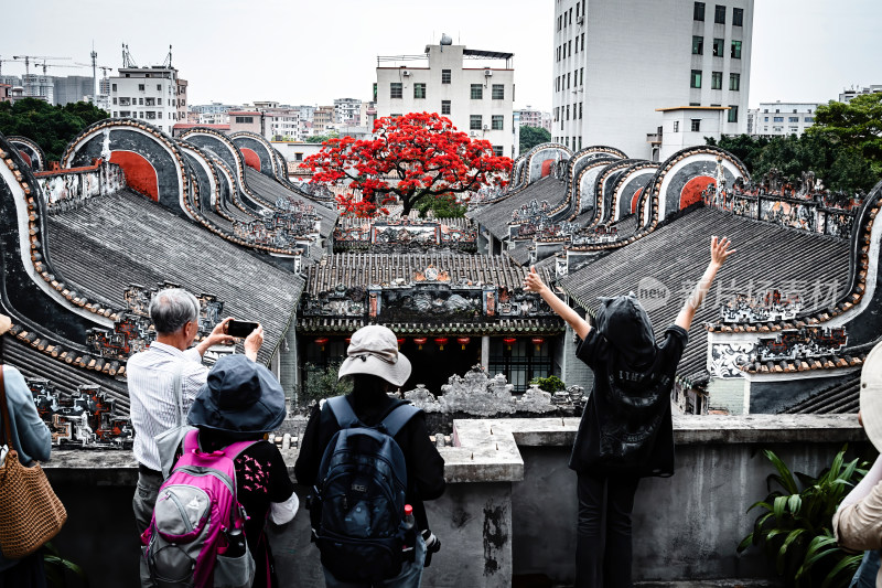 中国广东省广州市白云区周氏大宗祠凤凰花