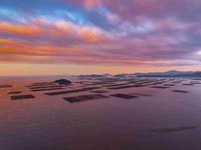 福建宁德紫菜养殖海域海带养殖傍晚黄昏航拍