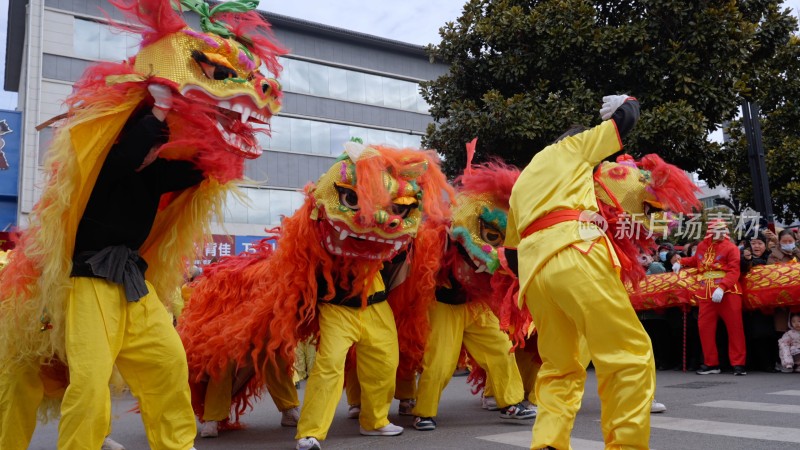 节日舞狮庆祝狮舞