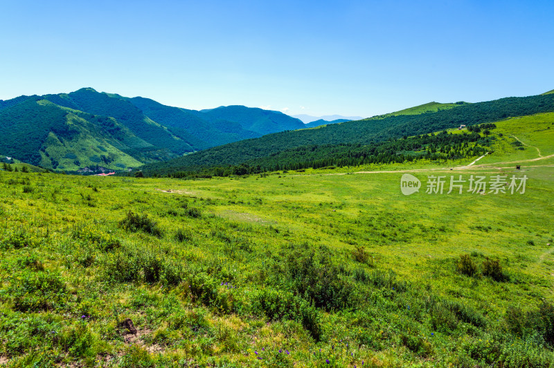 夏季蓝天白云绿色高山草甸群山大气风光