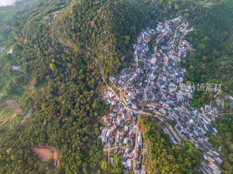 航拍被森林环绕的景迈山村庄全景