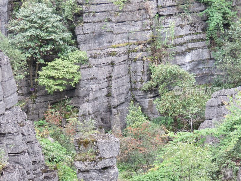 湖北恩施梭布垭石林旅游风光