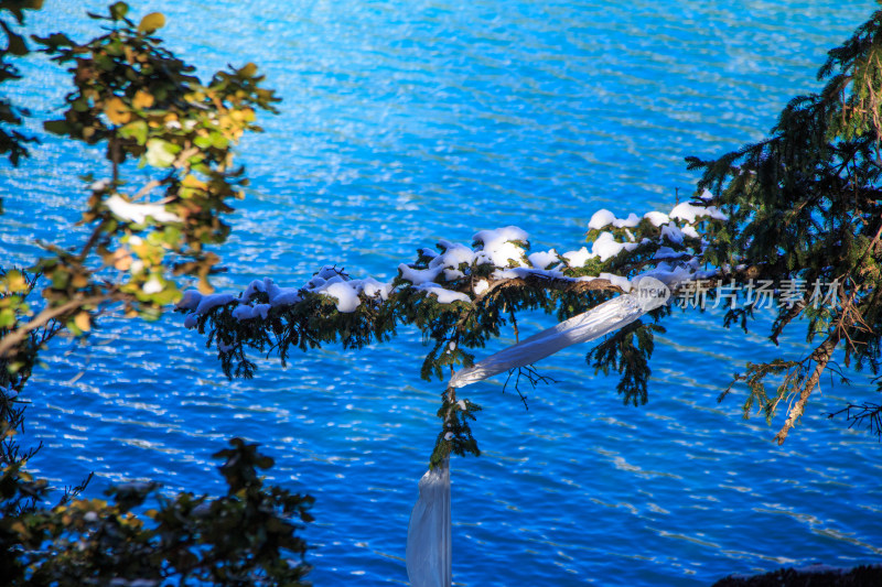 中国西藏林芝市巴松措景区雪山森林湖泊风光