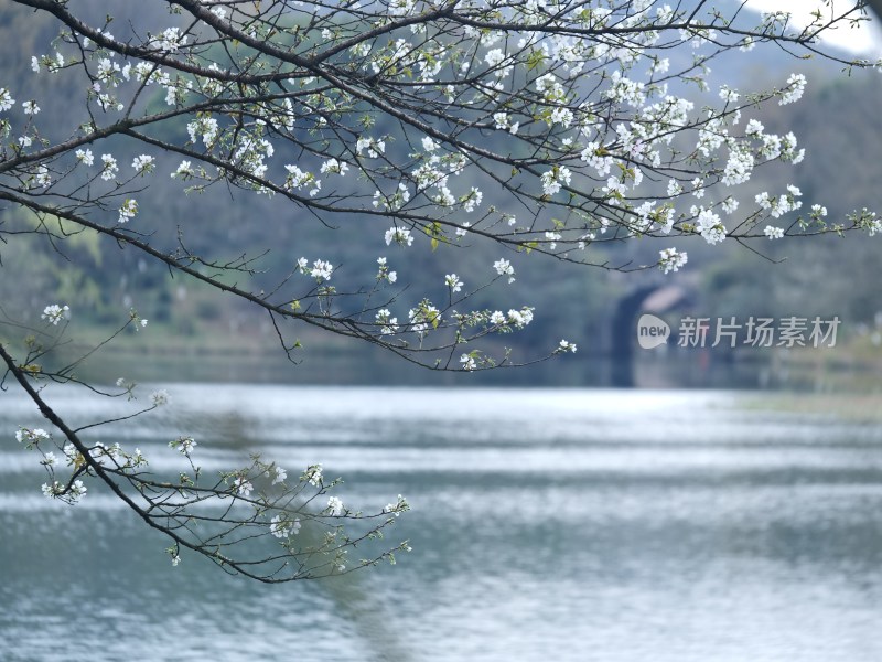 杭州三台山乌龟潭风景