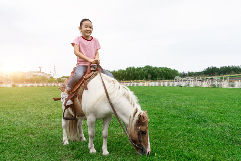 在茂盛的草坪上骑小矮马的中国女孩