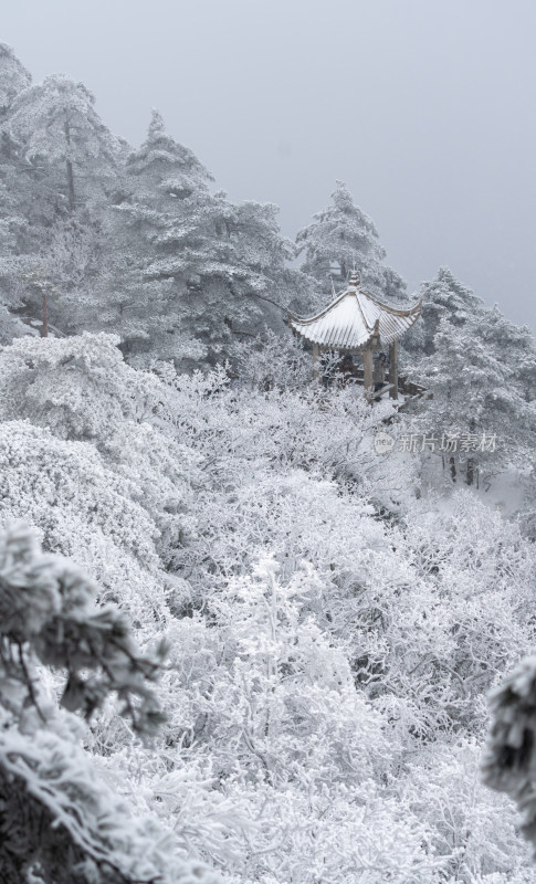 被雪覆盖的黄山山林中的古亭