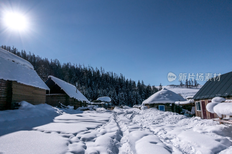 新疆阿勒泰白哈巴村冬季雪景