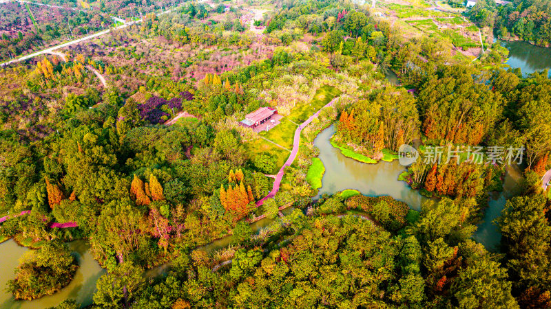 桤木河湿地公园秋景