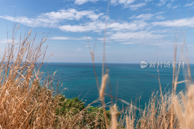 大海自然景色