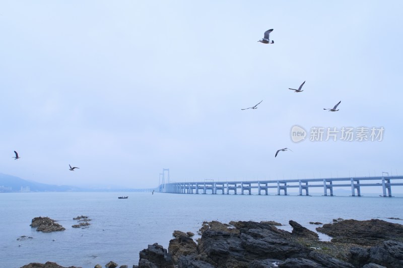 大连跨海大桥的夜景