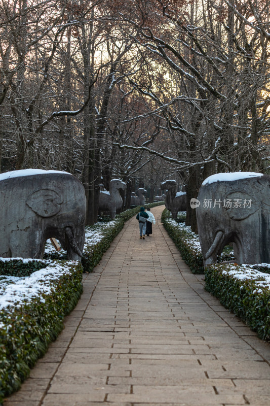 南京明孝陵石象路神道雪景