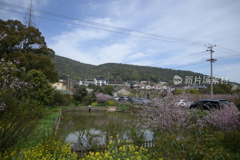 乡村春日池塘风景