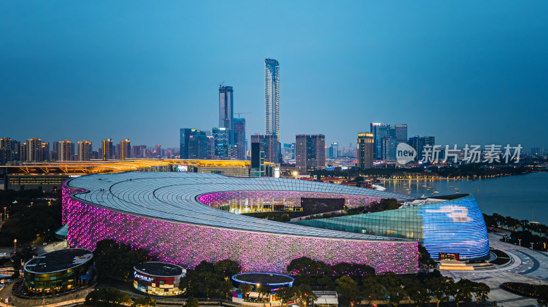 苏州金鸡湖城市地标建筑夜景全景