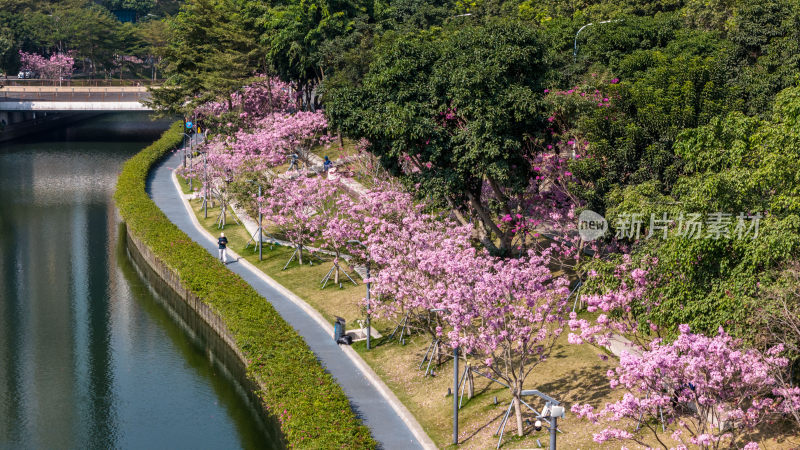 深圳市南山区后海中心河公园