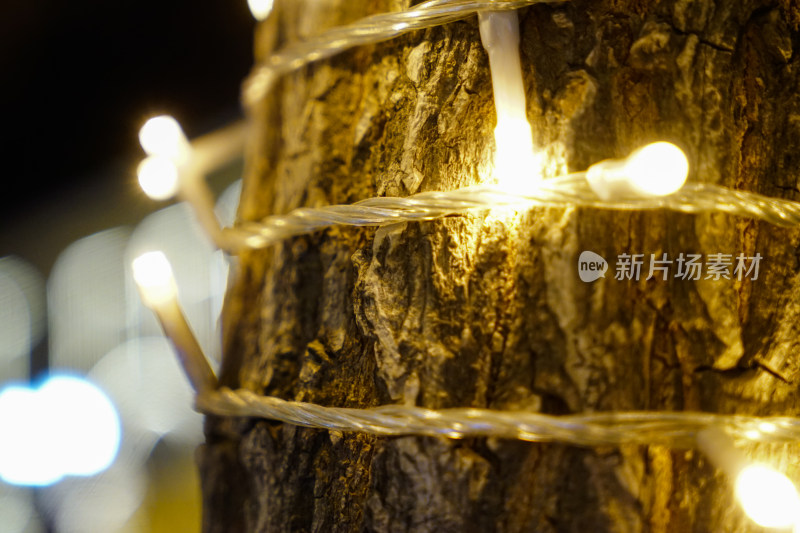 树干树皮上的灯珠装饰
