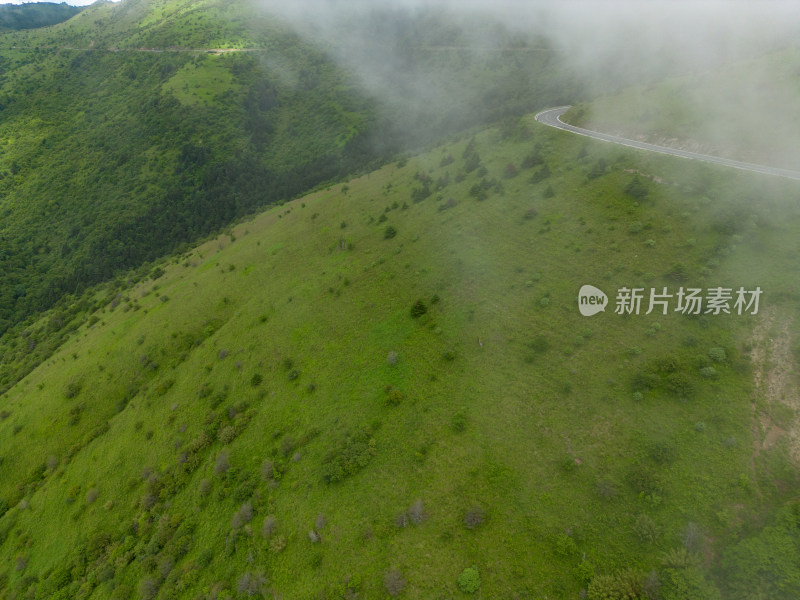 湖北神农架景区航拍风景摄影图