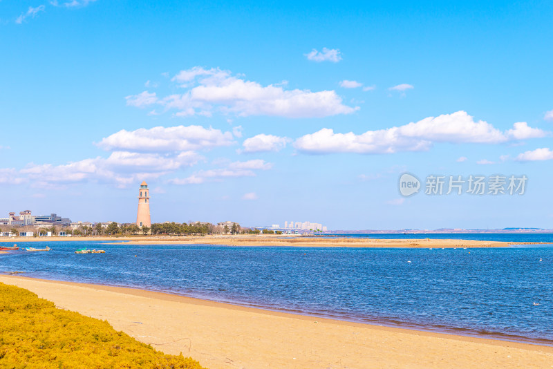 威海荣成欢乐海大天鹅海滩