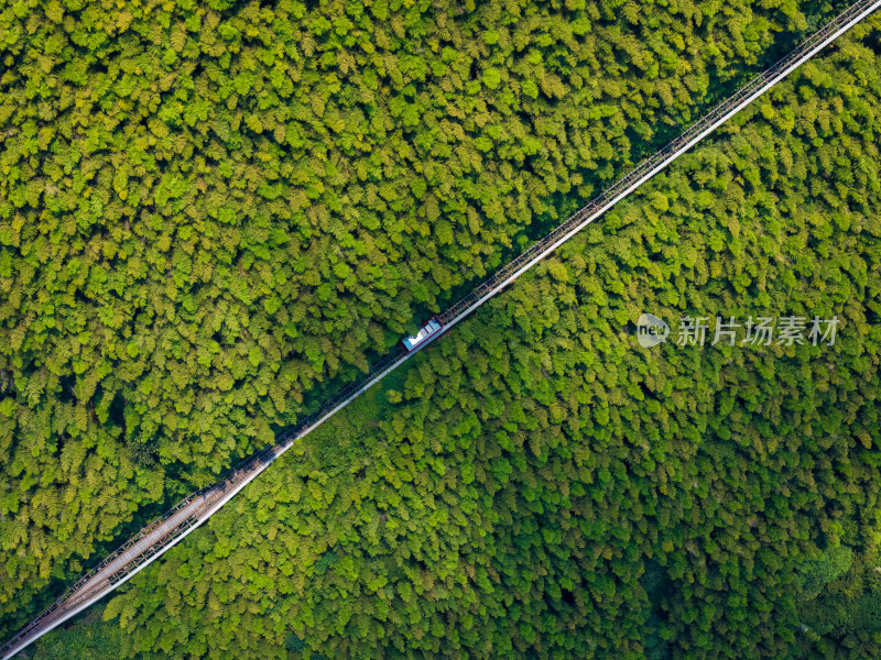 夏季航拍常州溧阳天目山南山竹海景区小火车