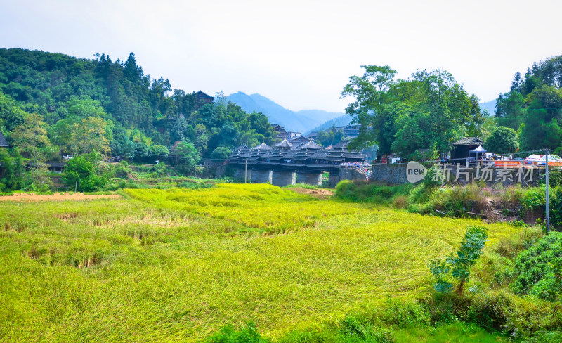 广西柳州三江程阳八寨风雨桥乡村田园风光