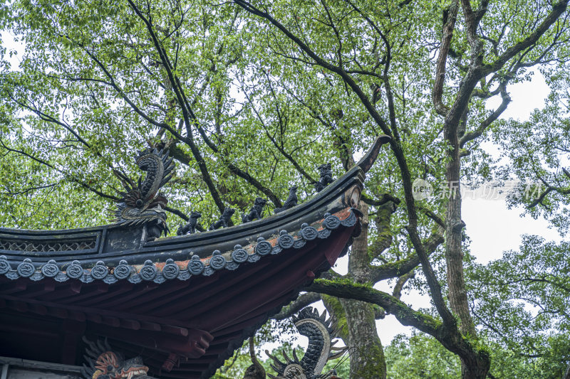 浙江普陀山普济寺禅院建筑