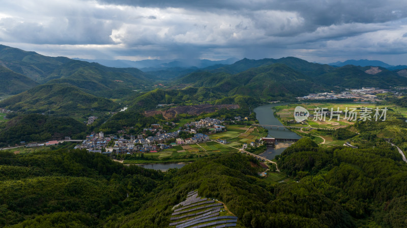 航拍乡村绿色稻田