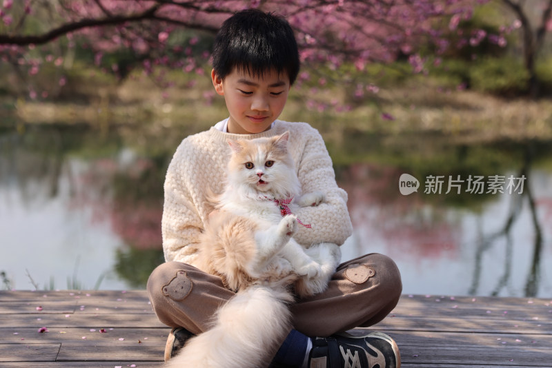 小男孩与宠物猫在梅花树下互动的温馨场景