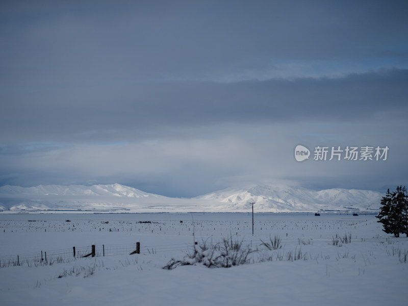 Lake Tekapo蒂卡波湖 湖景