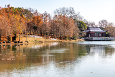 南京明孝陵燕雀湖秋冬景观