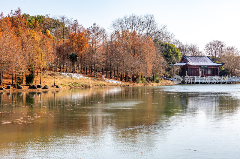 南京明孝陵燕雀湖秋冬景观