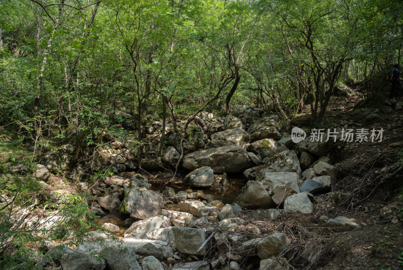 夏季南驼梁风光