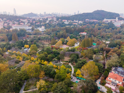 青岛中山公园航拍全景鸟瞰