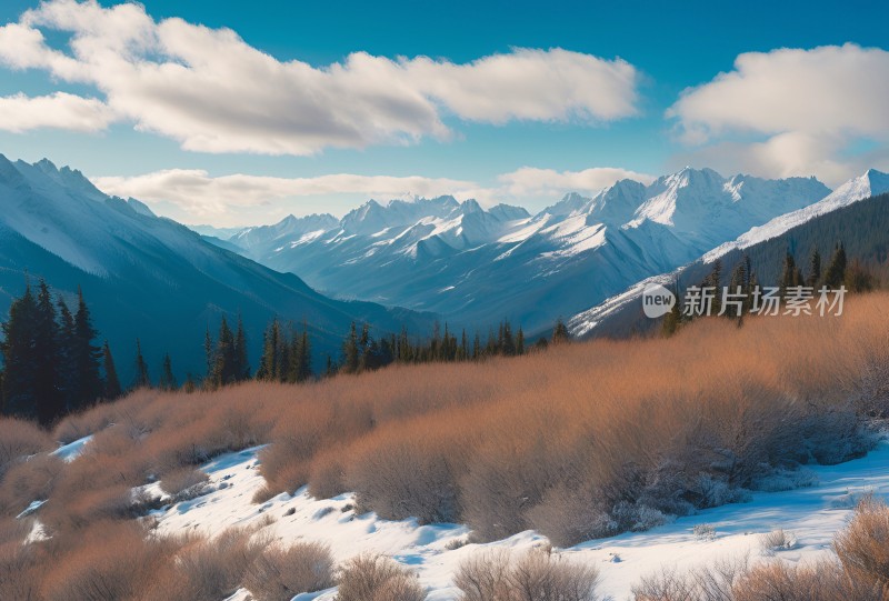 雪山高原草原森林风景