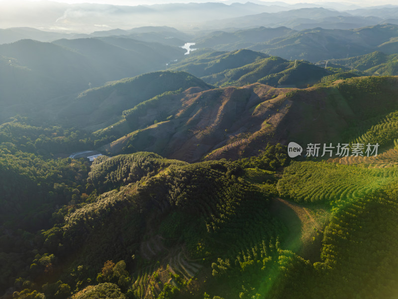 航拍视角下的大片绿色山林山脉全景