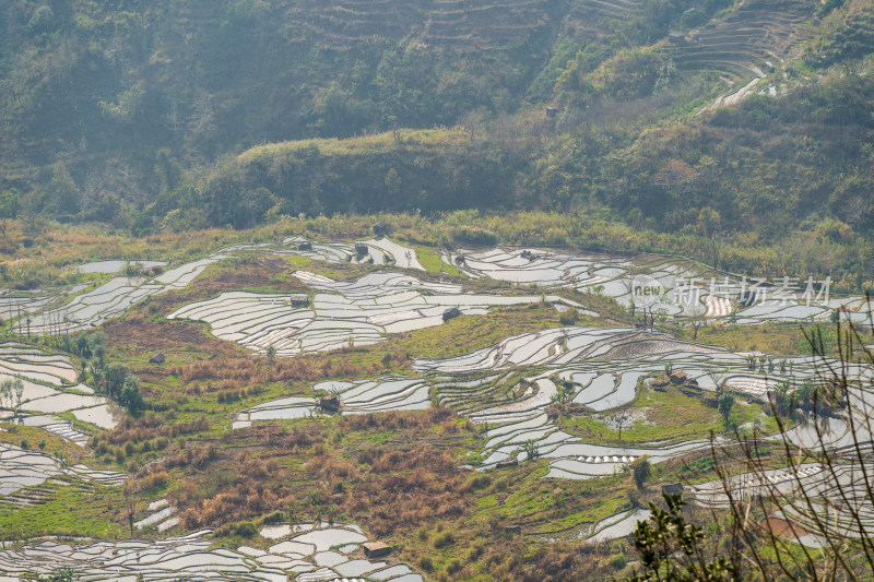 红河州元阳梯田自然风光