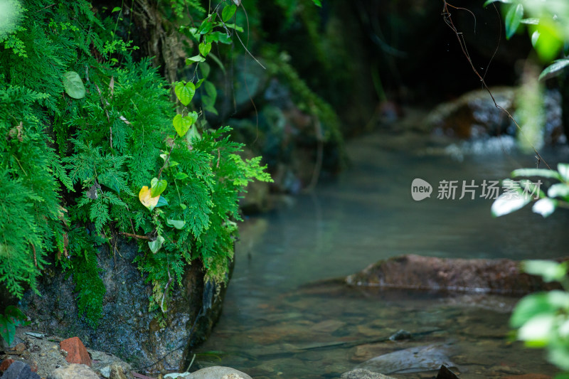 乡间自然风景