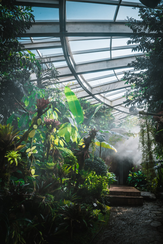 中科院昆明植物研究所 昆明植物园 扶荔宫