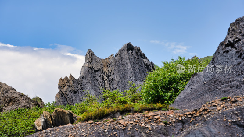 四川甘孜道孚县八美墨石公园糜棱岩山体特写