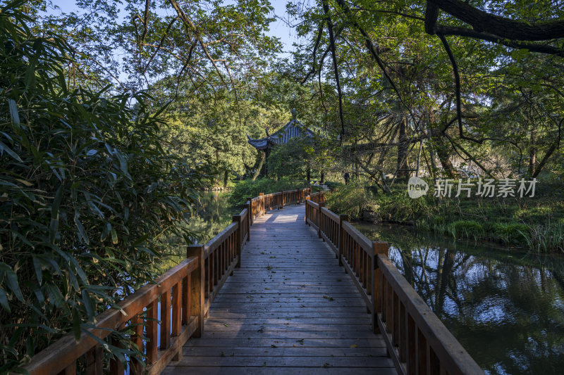 杭州西湖花港观鱼风景