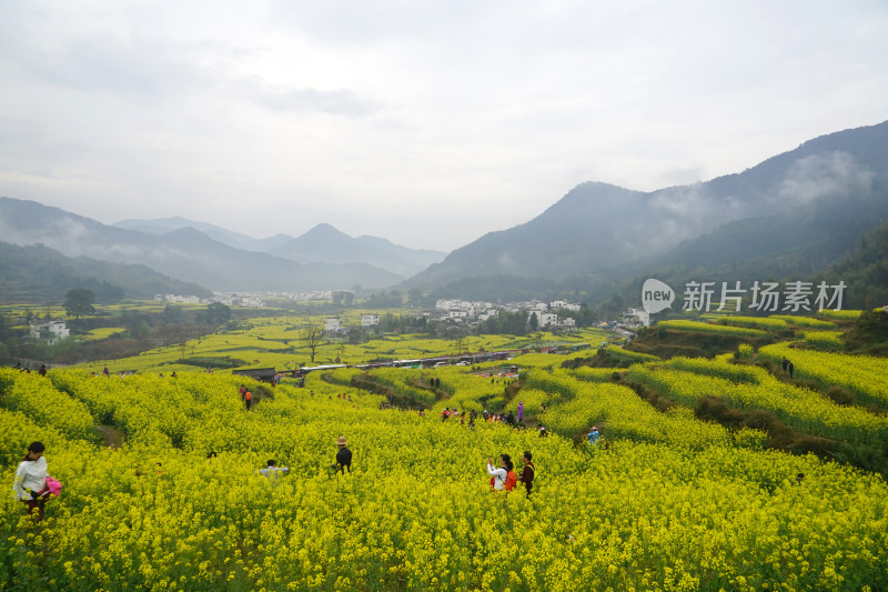 古村落婺源徽派建筑古建筑古遗址