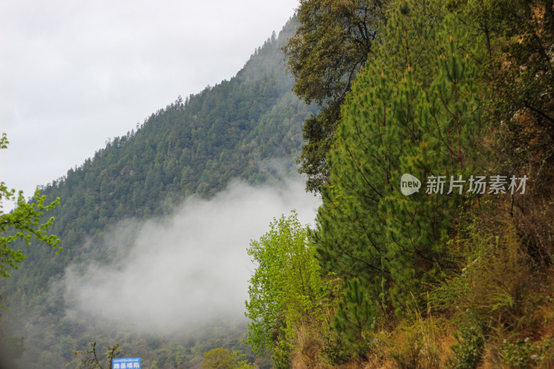 西藏林芝地区G318川藏公路沿途高原风光