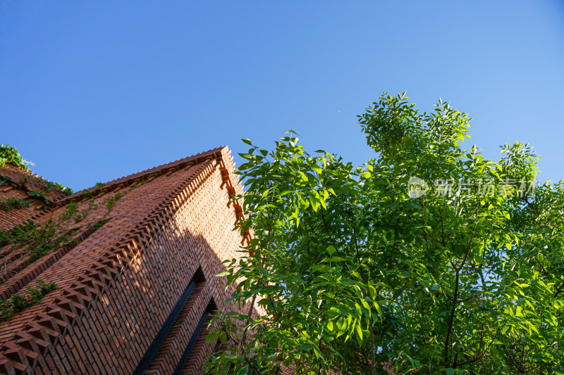 红砖美术馆建筑天空大树