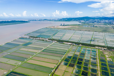 广东省中山市南朗街道崖口村的耕地和养殖场