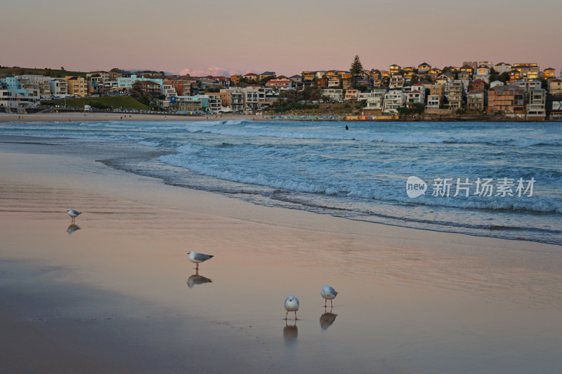 悉尼邦迪沙滩，bondi beach，日落与倒影