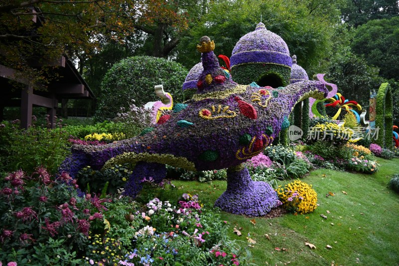 杭州植物园第十届杭州菊花展