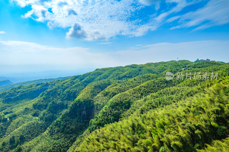 四川宜宾蜀南竹海