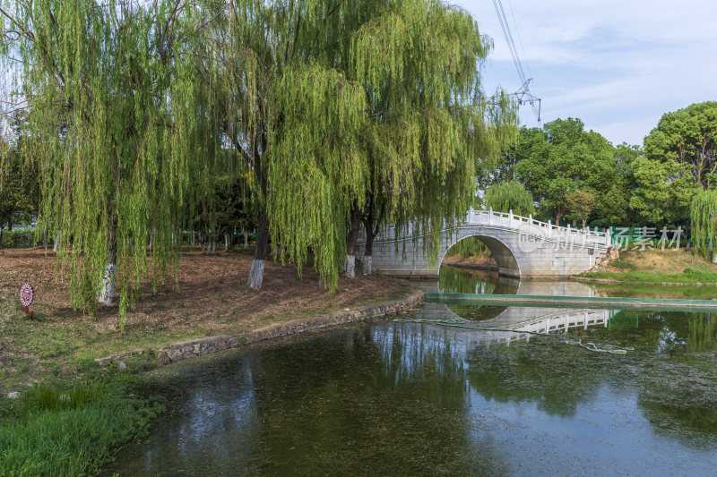 武汉江夏区谭鑫培公园风景